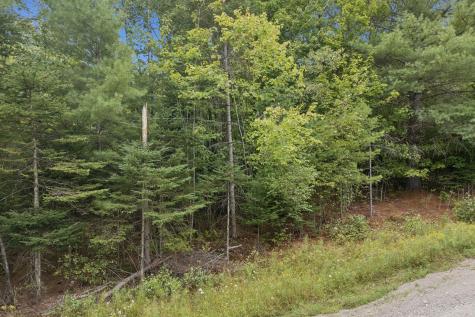 Lot 42 Grand View Road Saint Albans ME 04971