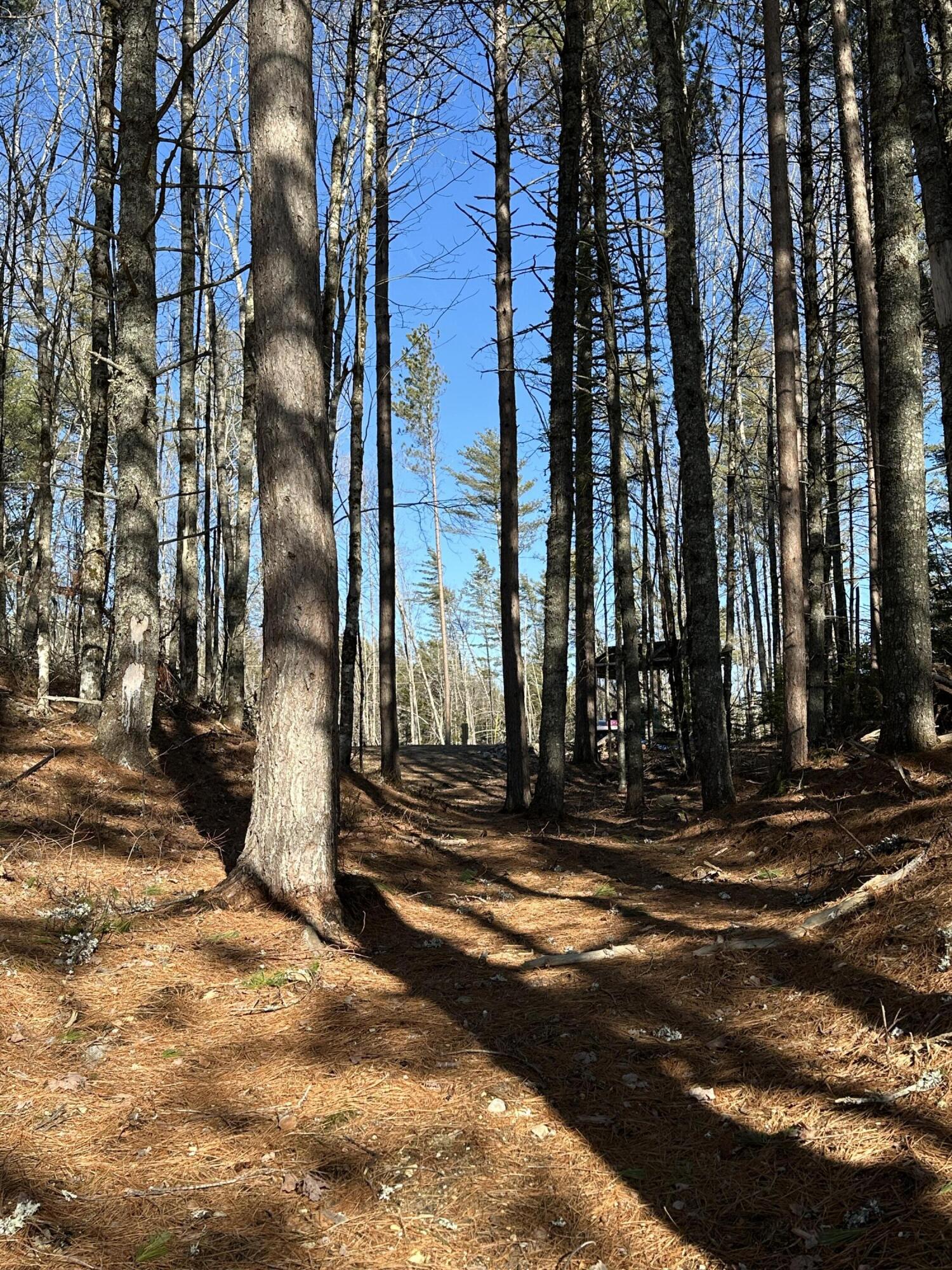 Tbd Huckleberry Lane Wesley ME 04686