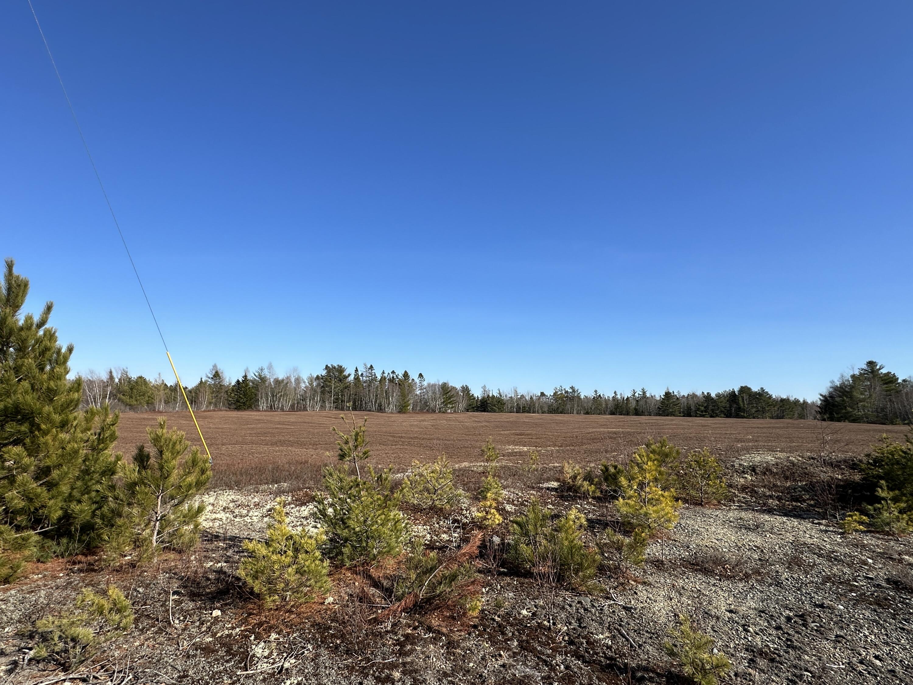 Tbd Huckleberry Lane Wesley ME 04686