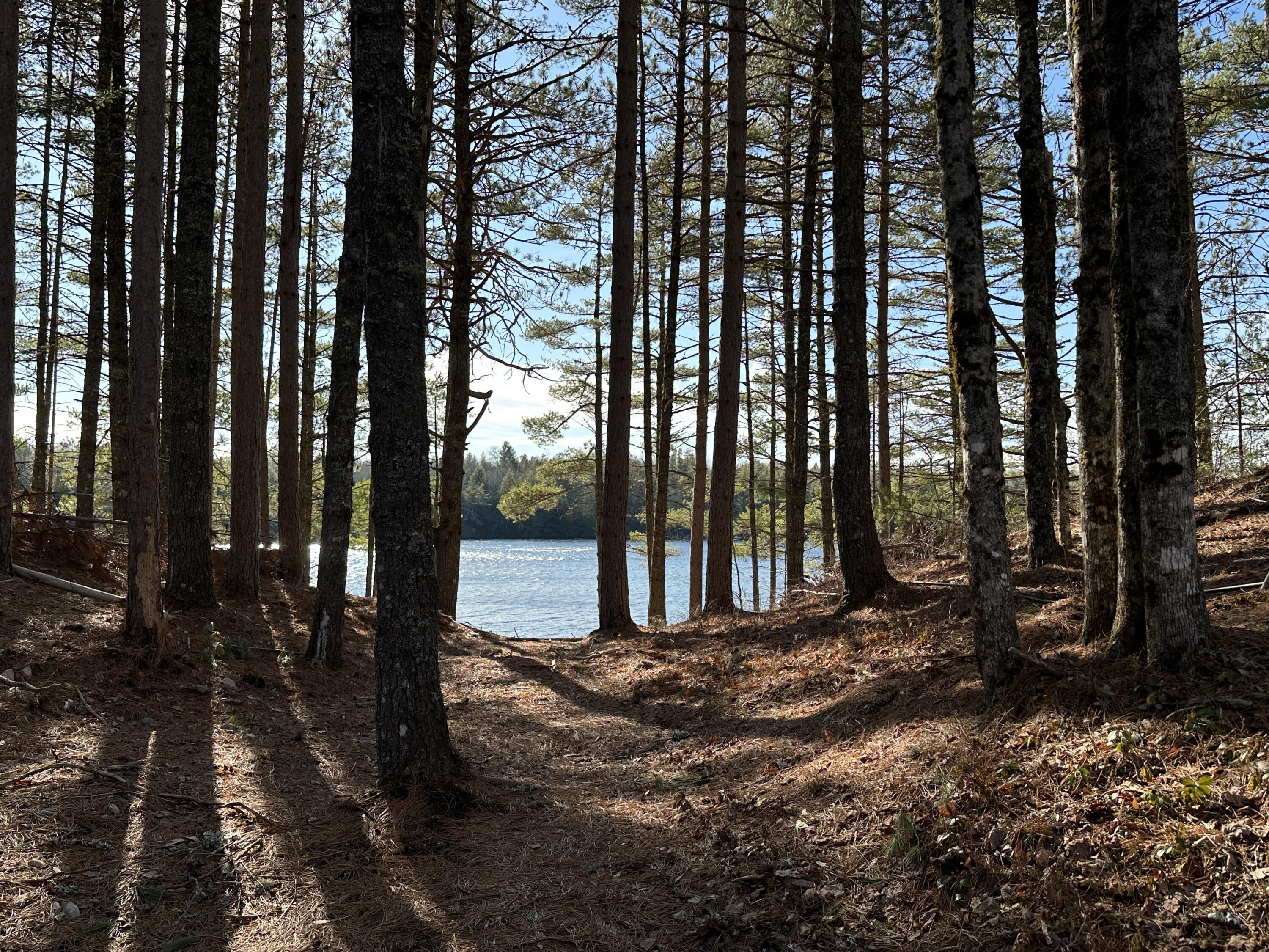 Tbd Huckleberry Lane Wesley ME 04686