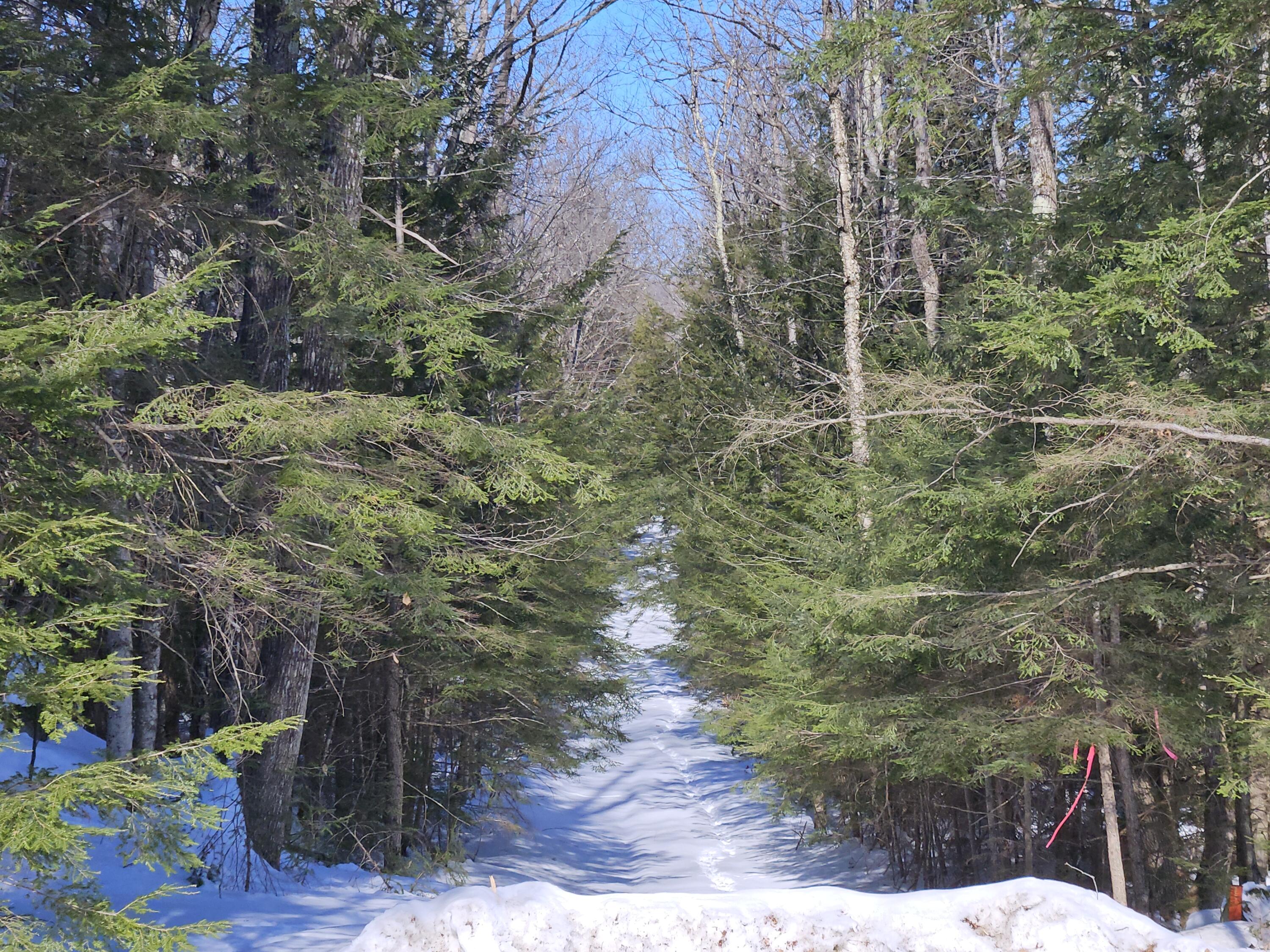 M10 L25-a Cahoon Road Chesterville ME 04938