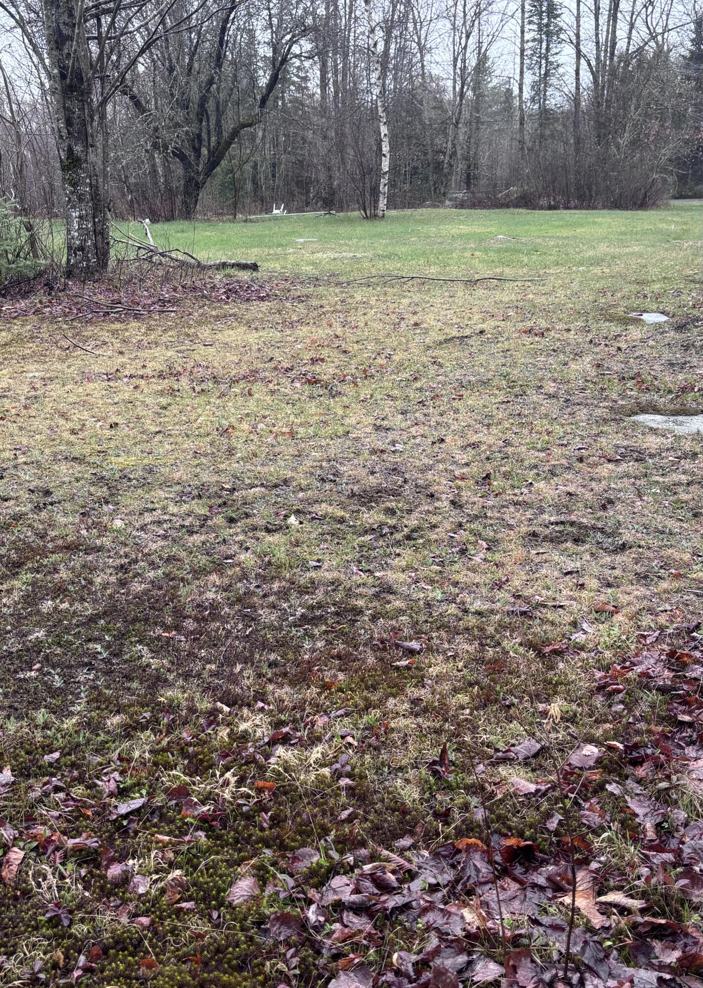 244 Long Ridge Road Burlington ME 04417