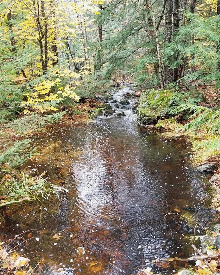 M 15 L 43 Brookview Drive Bucksport ME 04416