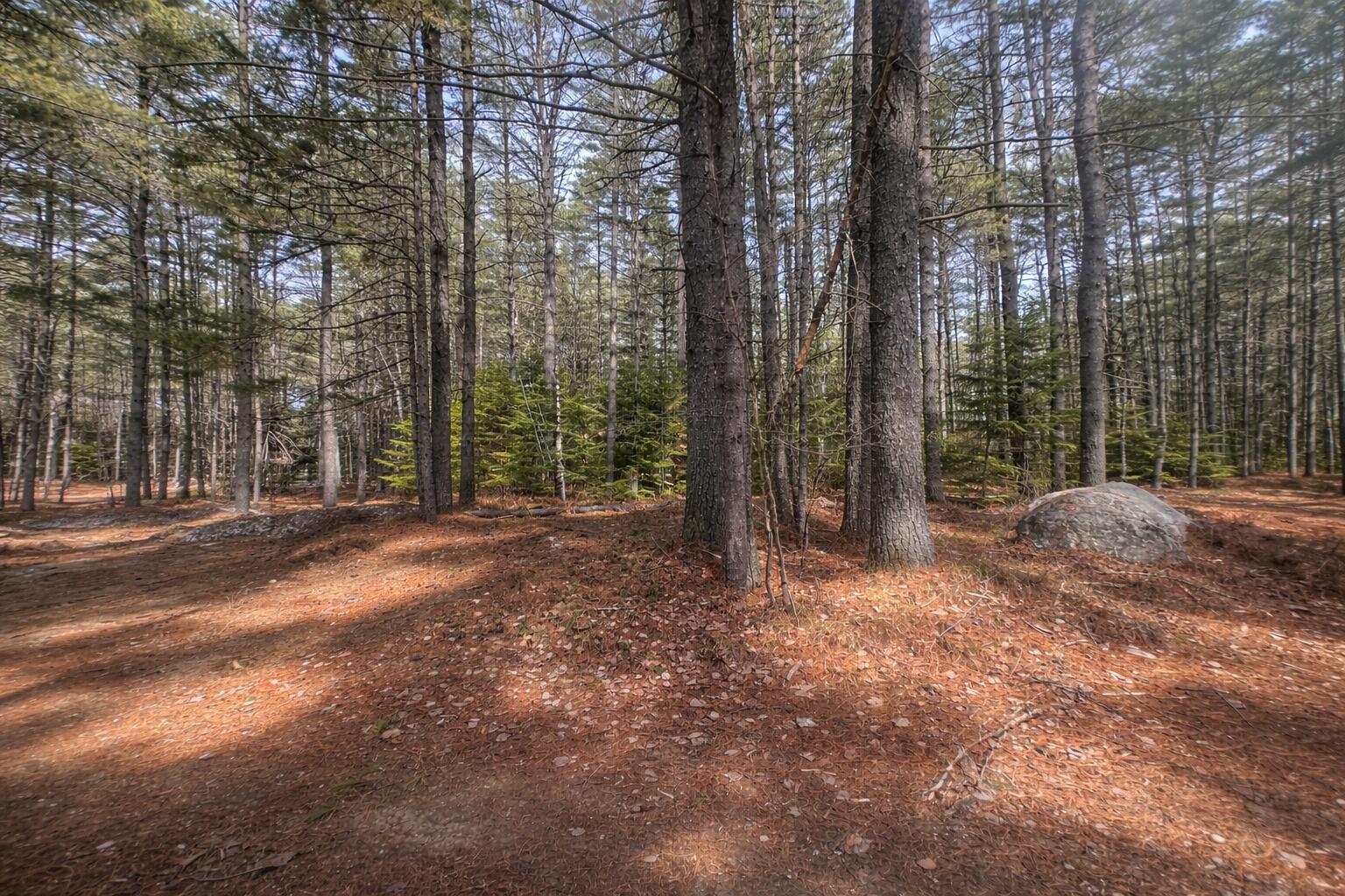 15 Stan's Road Harrison ME 04040