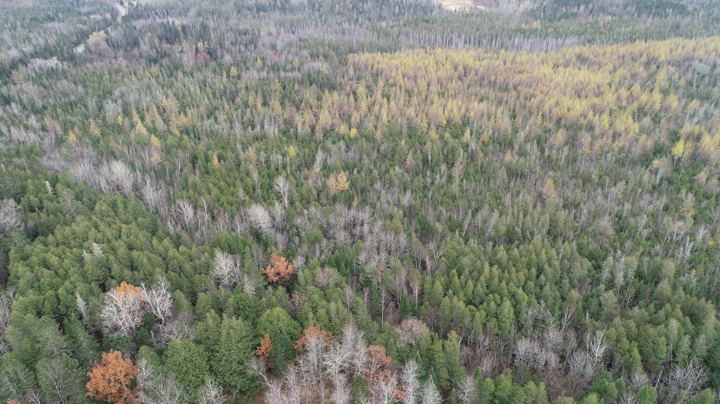 Lot 18 Us Rt 2 Highway Sherman ME 04776