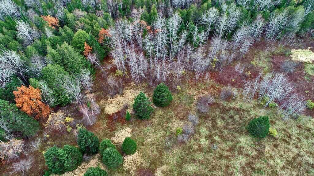 Lot 18 Us Rt 2 Highway Sherman ME 04776