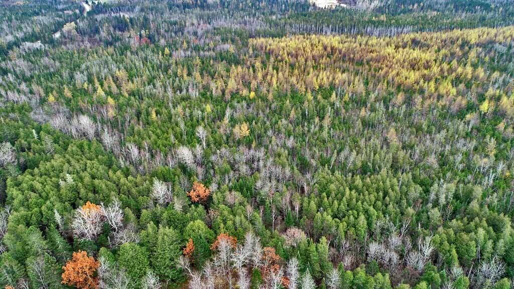 Lot 18 Us Rt 2 Highway Sherman ME 04776