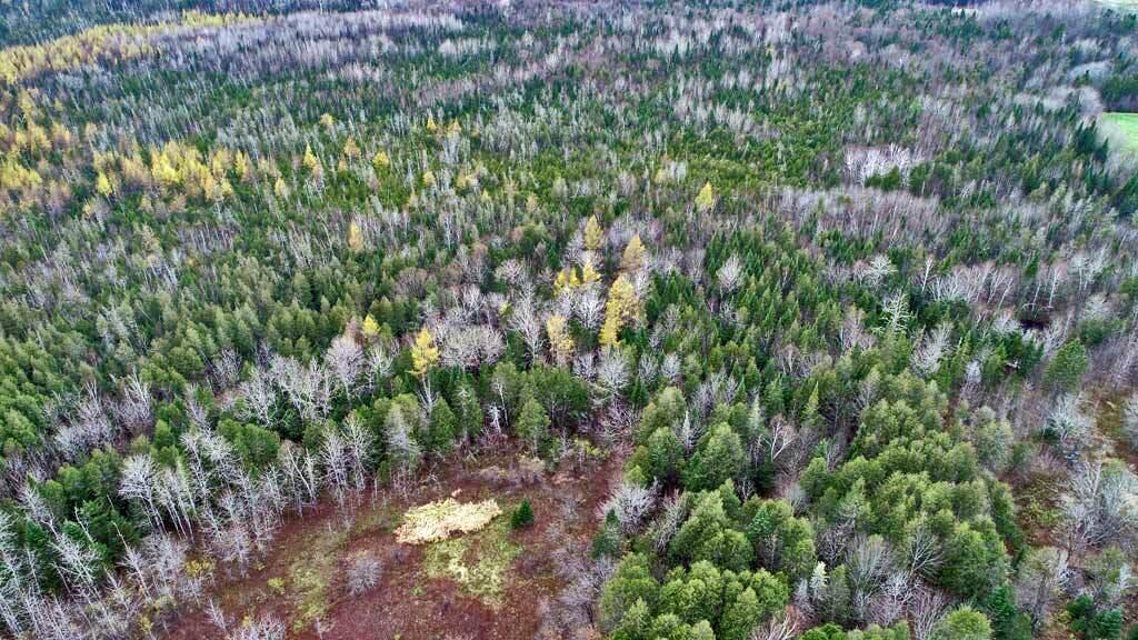 Lot 18 Us Rt 2 Highway Sherman ME 04776
