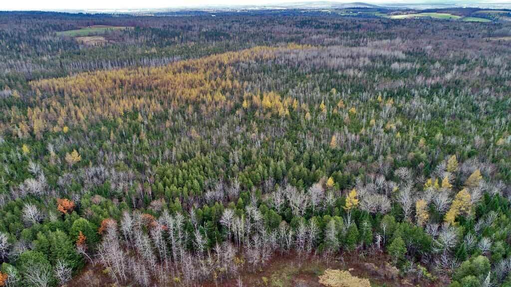 Lot 18 Us Rt 2 Highway Sherman ME 04776