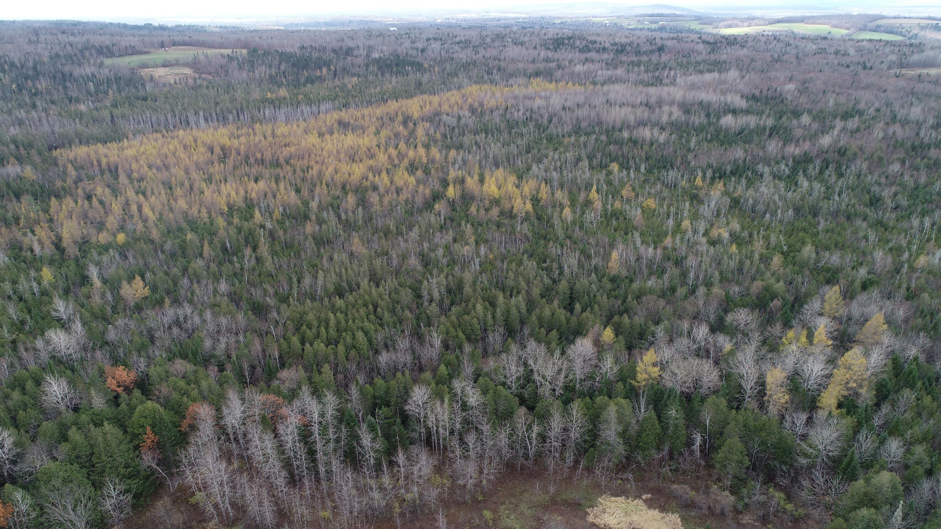 Lot 18 Us Rt 2 Highway Sherman ME 04776