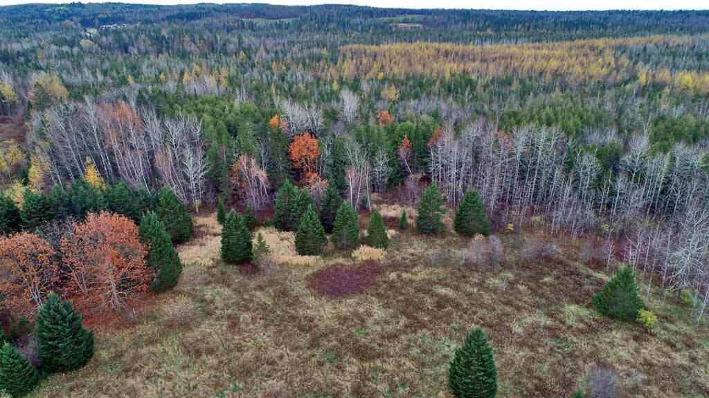 Lot 18 Us Rt 2 Highway Sherman ME 04776