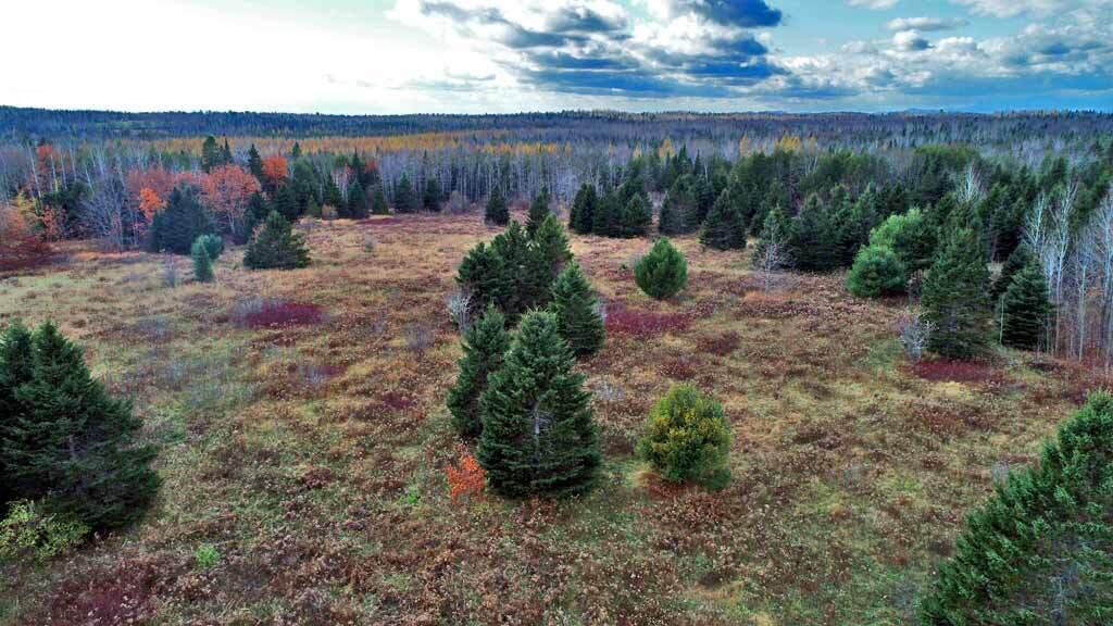 Lot 18 Us Rt 2 Highway Sherman ME 04776
