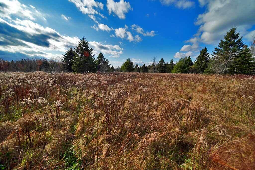 Lot 18 Us Rt 2 Highway Sherman ME 04776