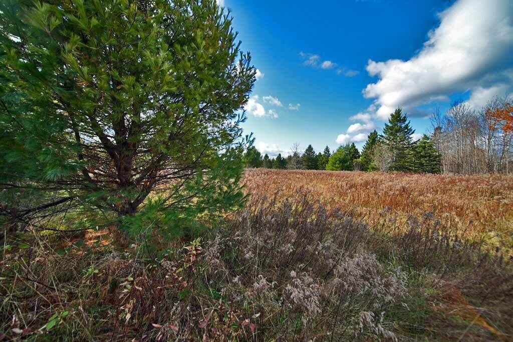 Lot 18 Us Rt 2 Highway Sherman ME 04776