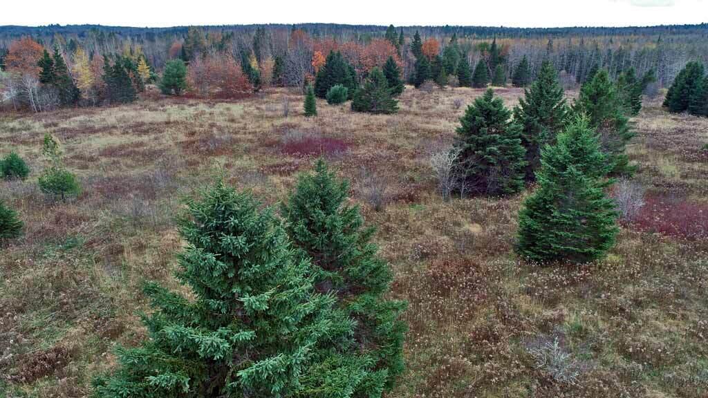 Lot 18 Us Rt 2 Highway Sherman ME 04776