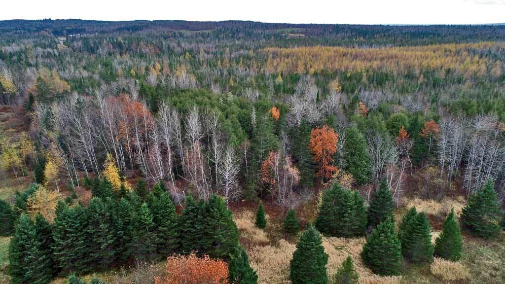 Lot 18 Us Rt 2 Highway Sherman ME 04776
