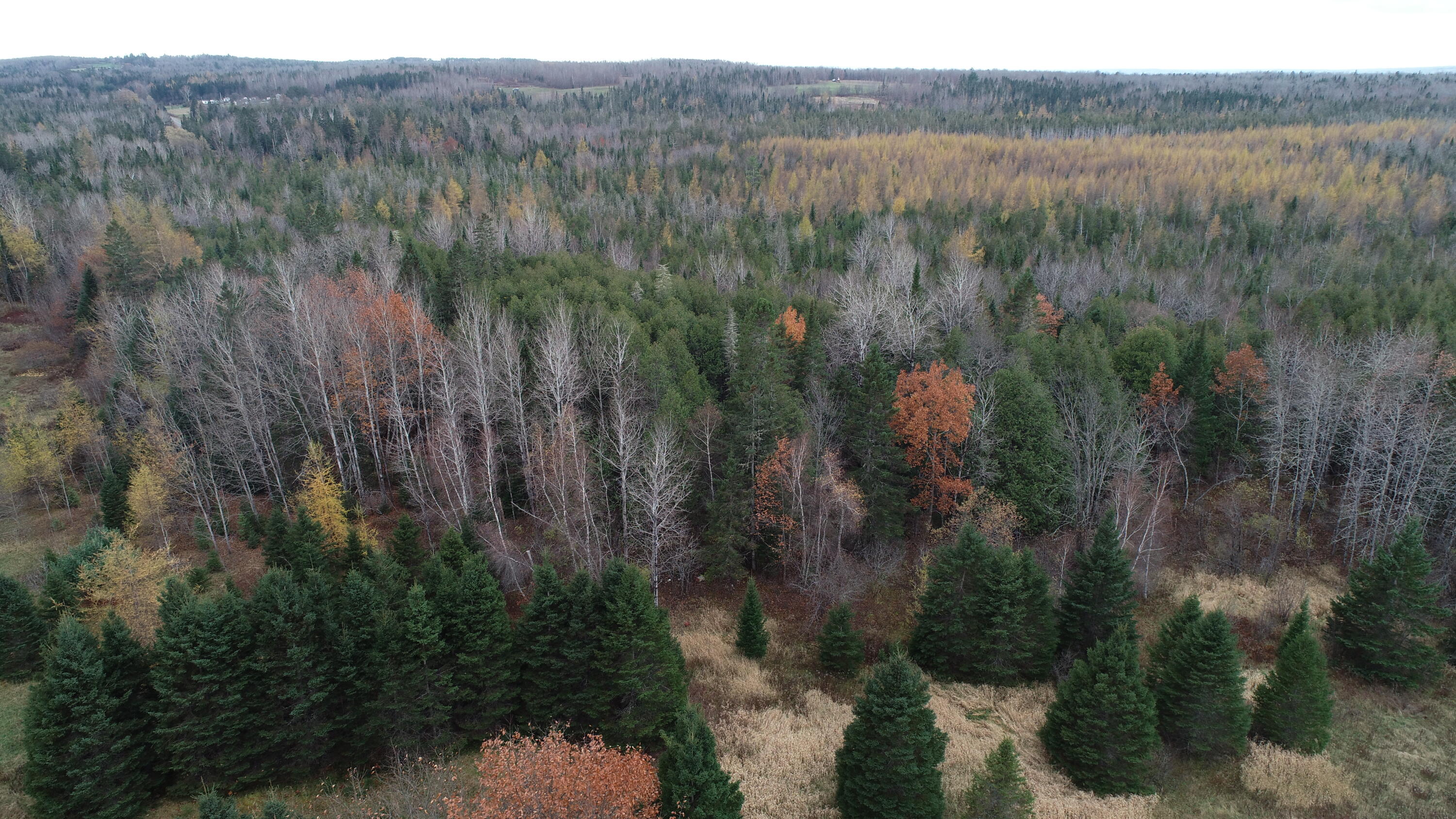 Lot 18 Us Rt 2 Highway Sherman ME 04776