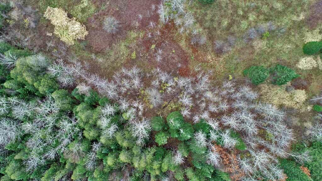 Lot 18 Us Rt 2 Highway Sherman ME 04776