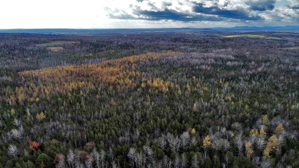 Lot 18 Us Rt 2 Highway Sherman ME 04776