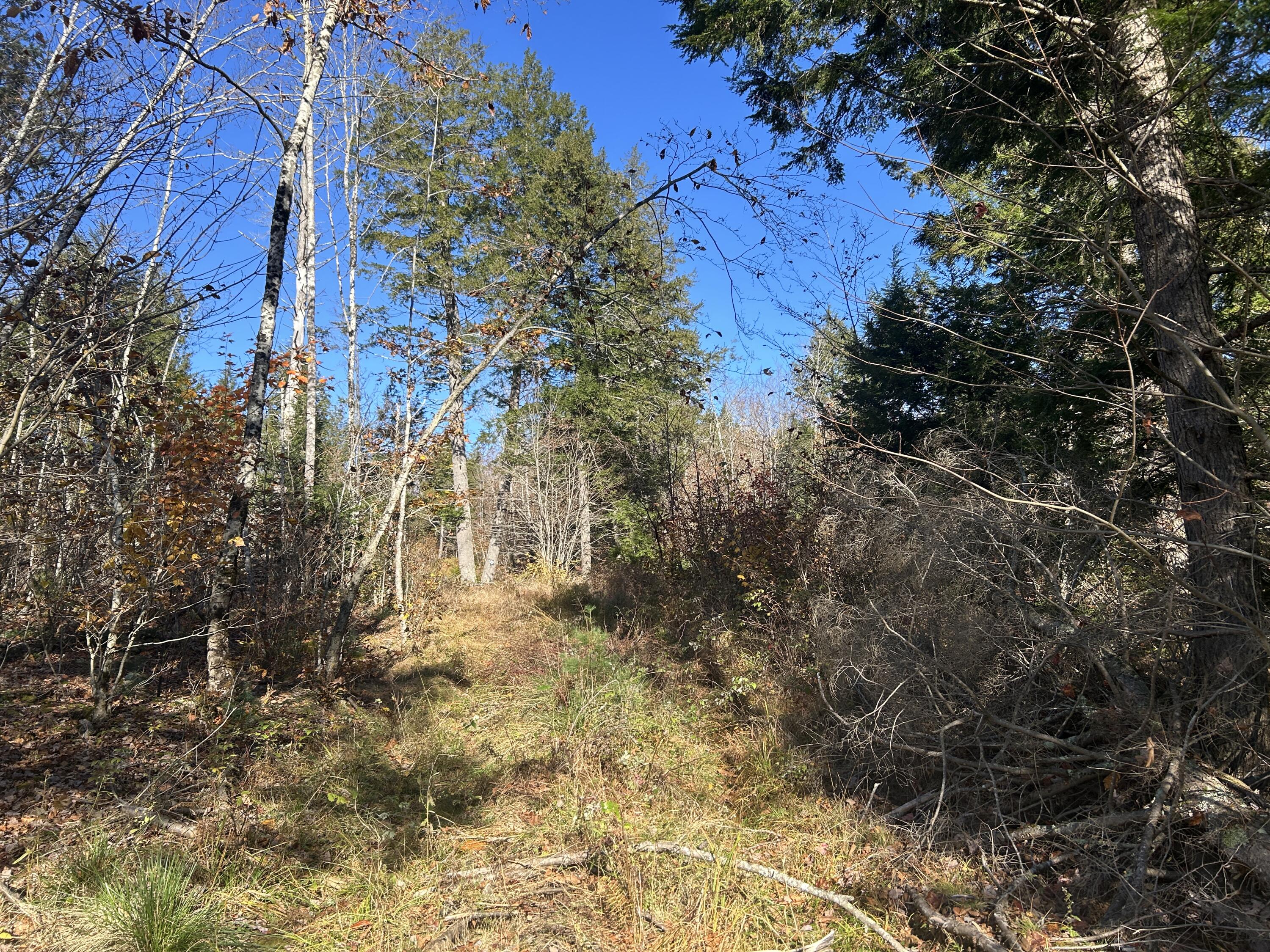 Lot B Waldoboro Road Washington ME 04574