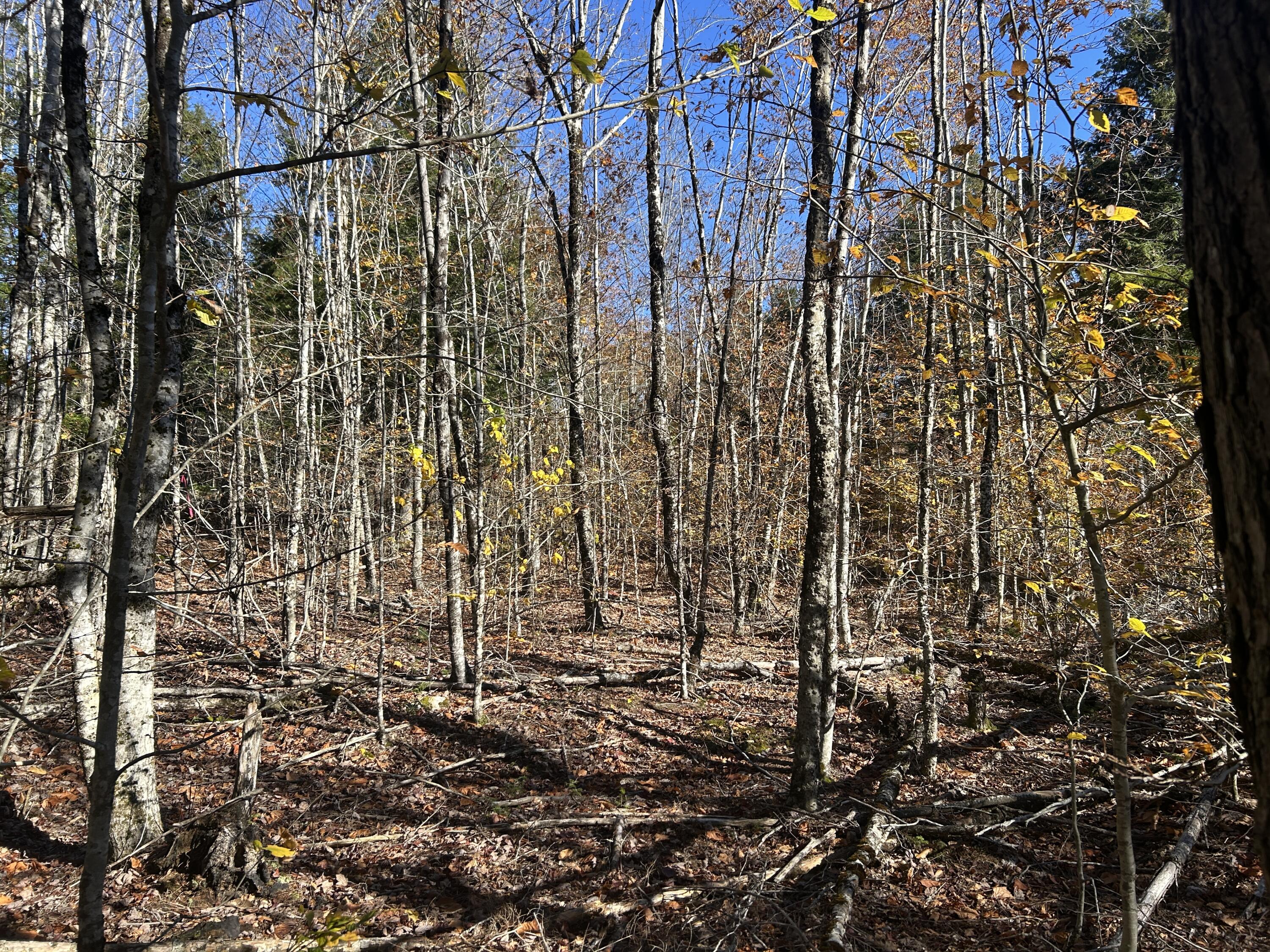 Lot B Waldoboro Road Washington ME 04574