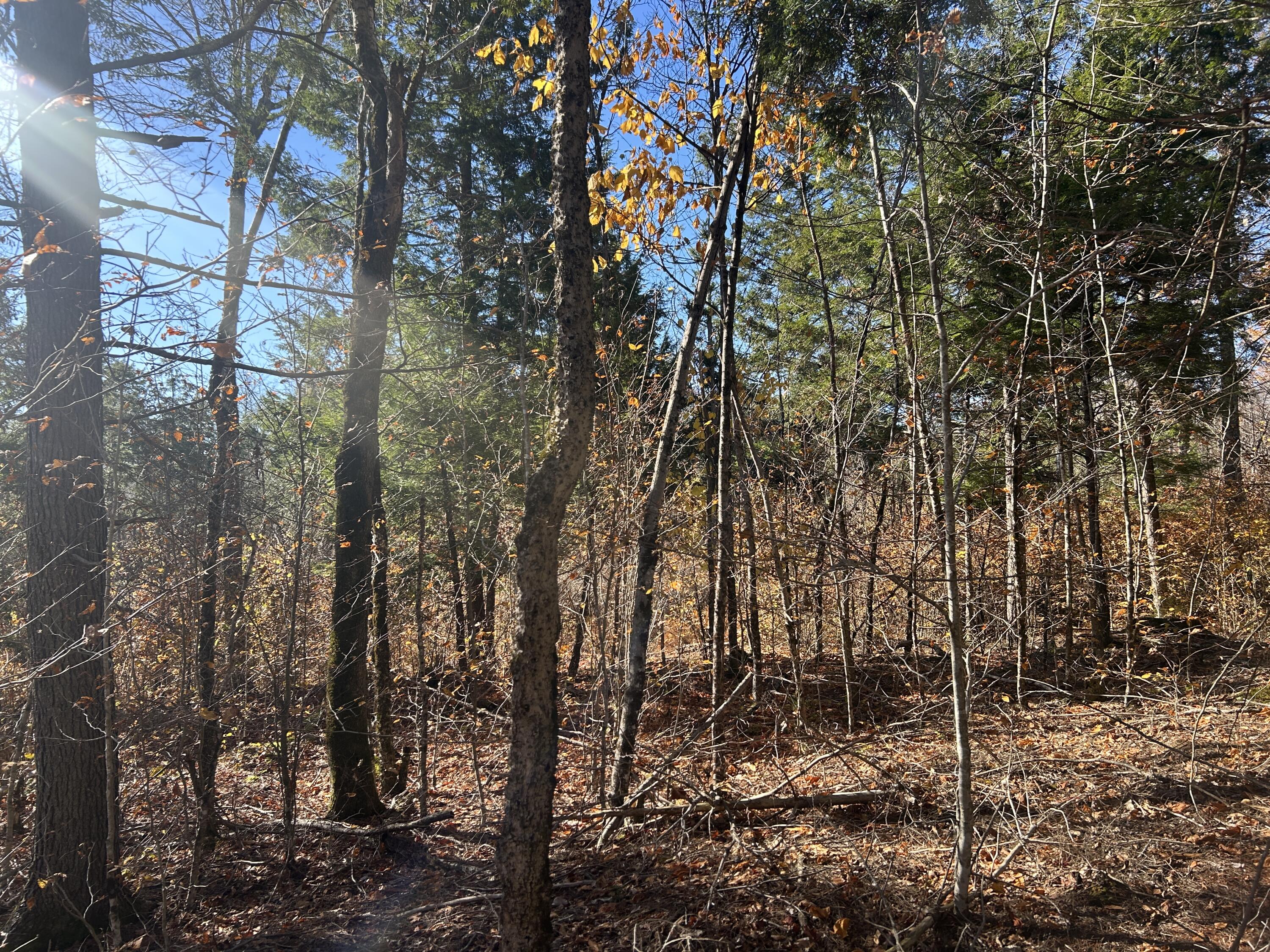 Lot B Waldoboro Road Washington ME 04574