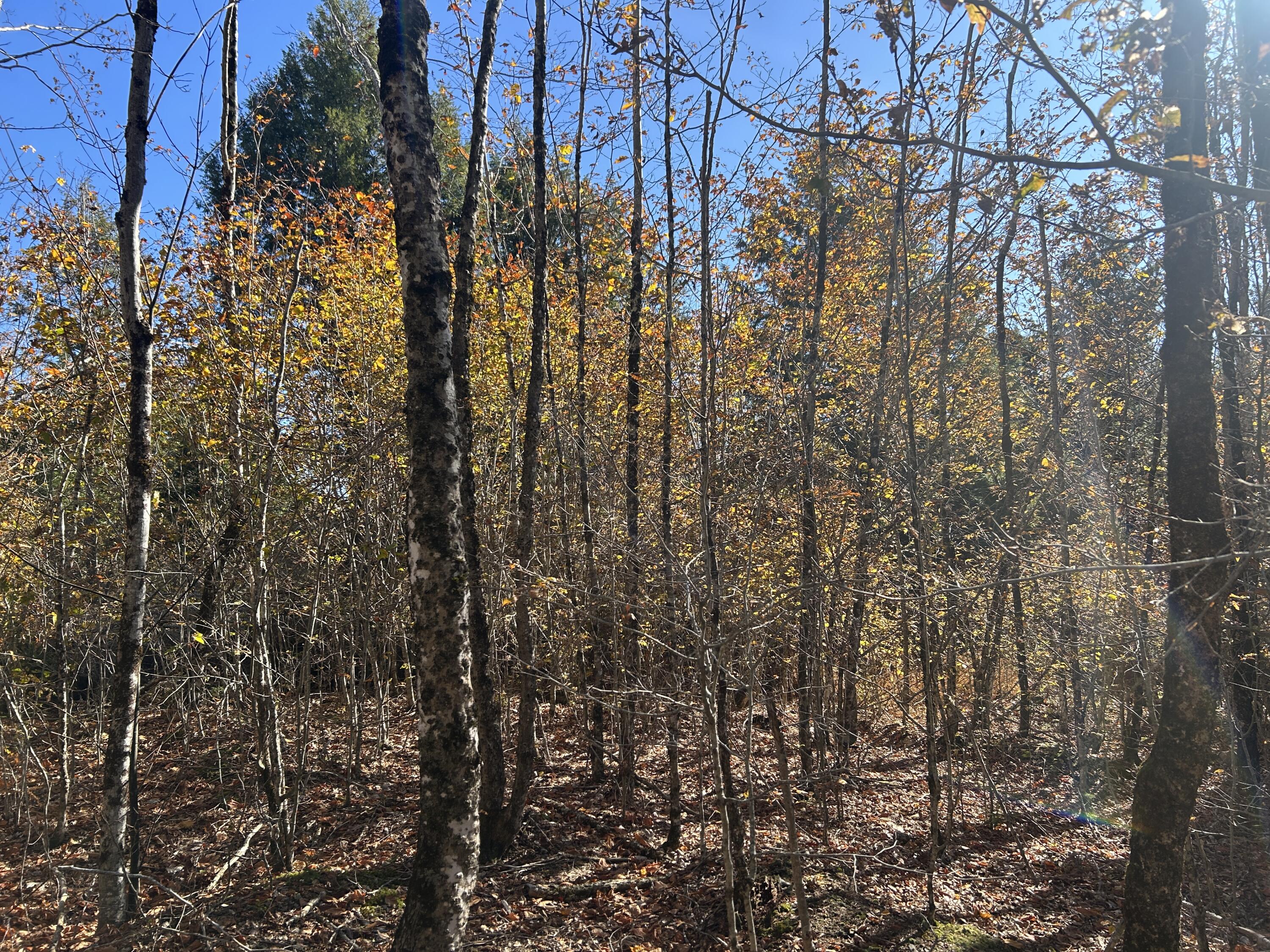 Lot B Waldoboro Road Washington ME 04574