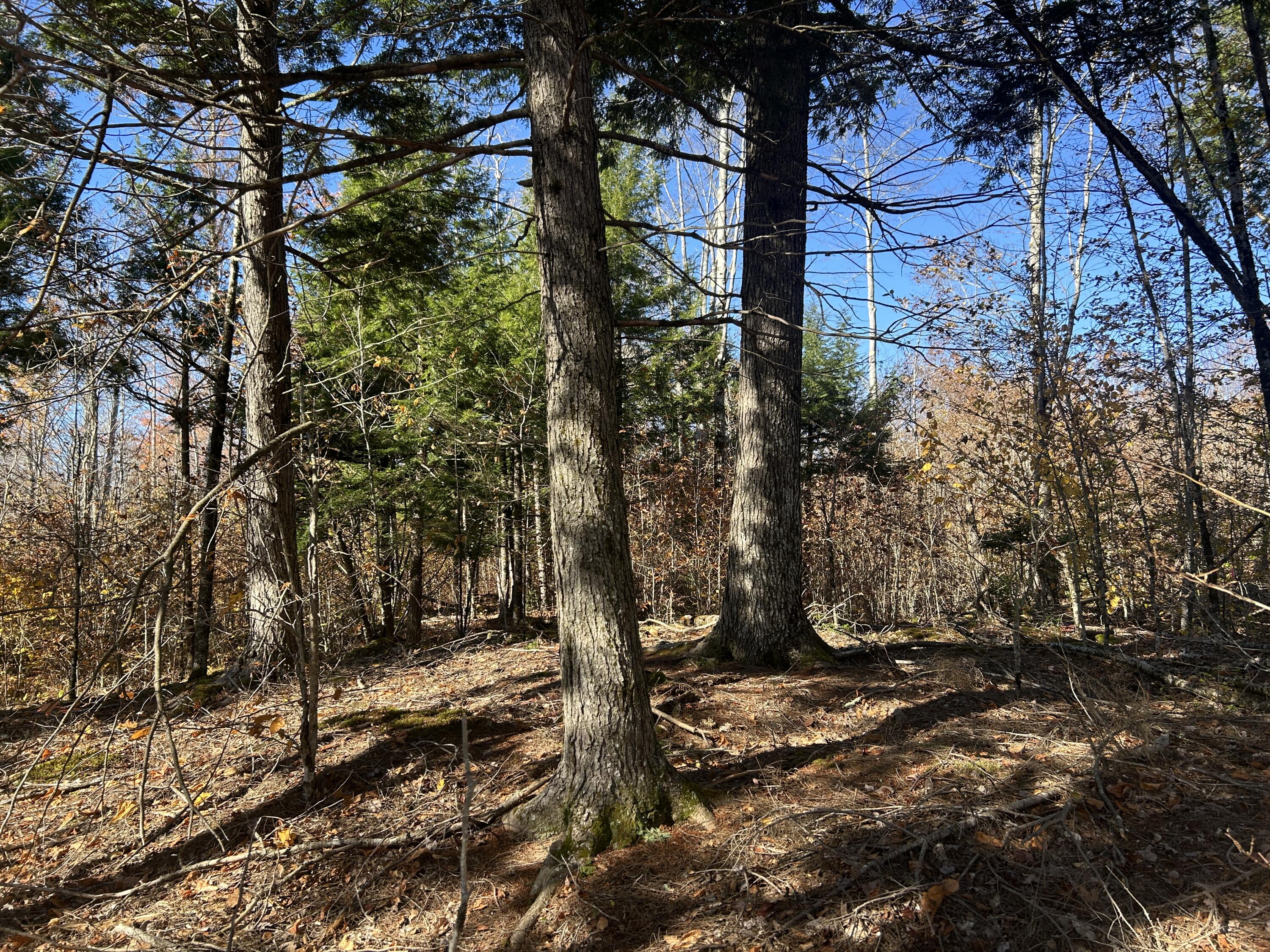 Lot B Waldoboro Road Washington ME 04574