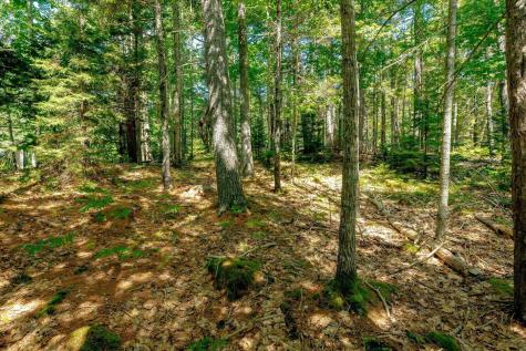 Lot 39-1 Sargent Brook Road Mount Desert ME 04660