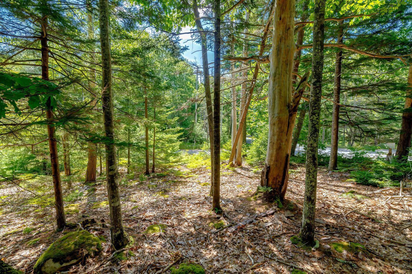 Lot 39-1 Sargent Brook Road Mount Desert ME 04660