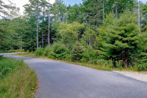 Lot 39-1 Sargent Brook Road Mount Desert ME 04660