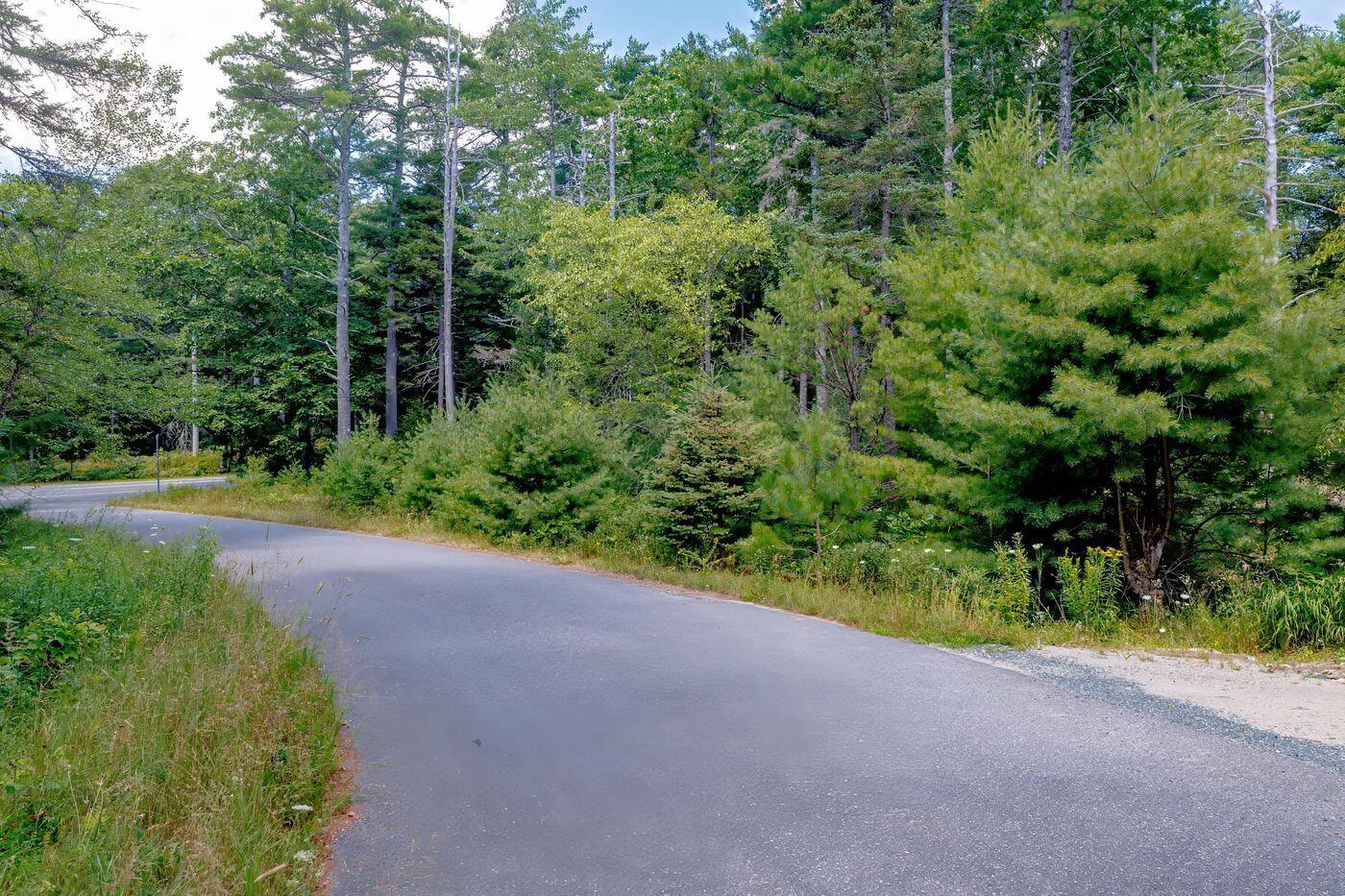 Lot 39-1 Sargent Brook Road Mount Desert ME 04660