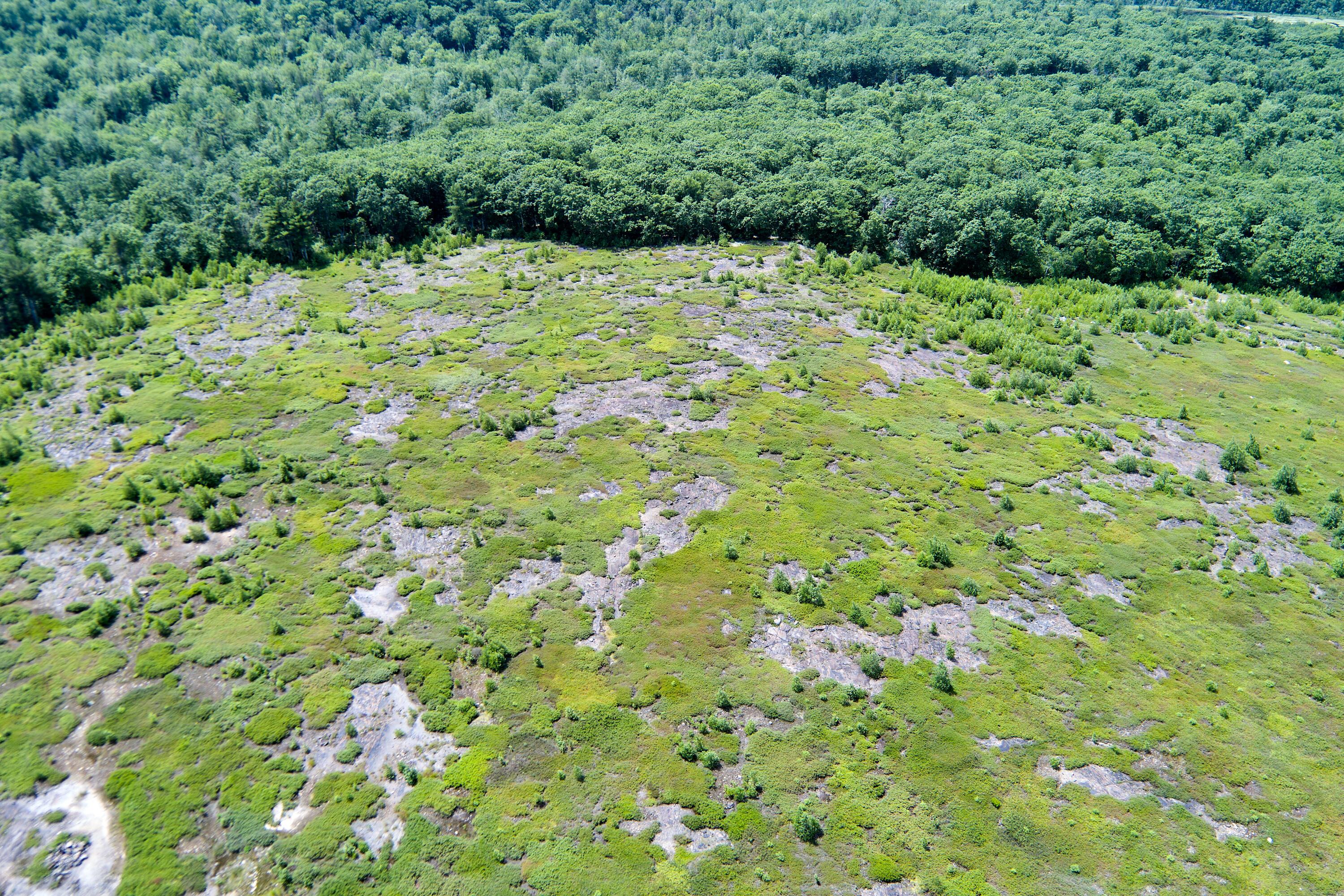 00 Armstrong Road Belfast ME 04915