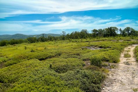 00 Armstrong Road Belfast ME 04915