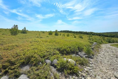 00 Armstrong Road Belfast ME 04915