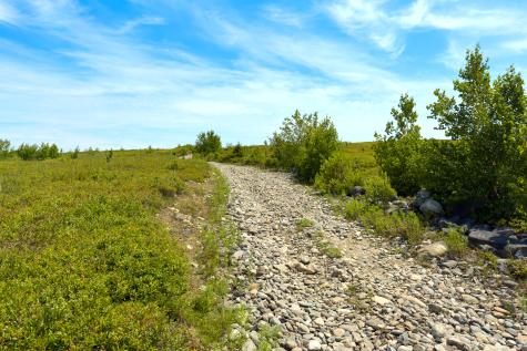 00 Armstrong Road Belfast ME 04915