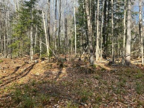 0 French Road Norway ME 04268