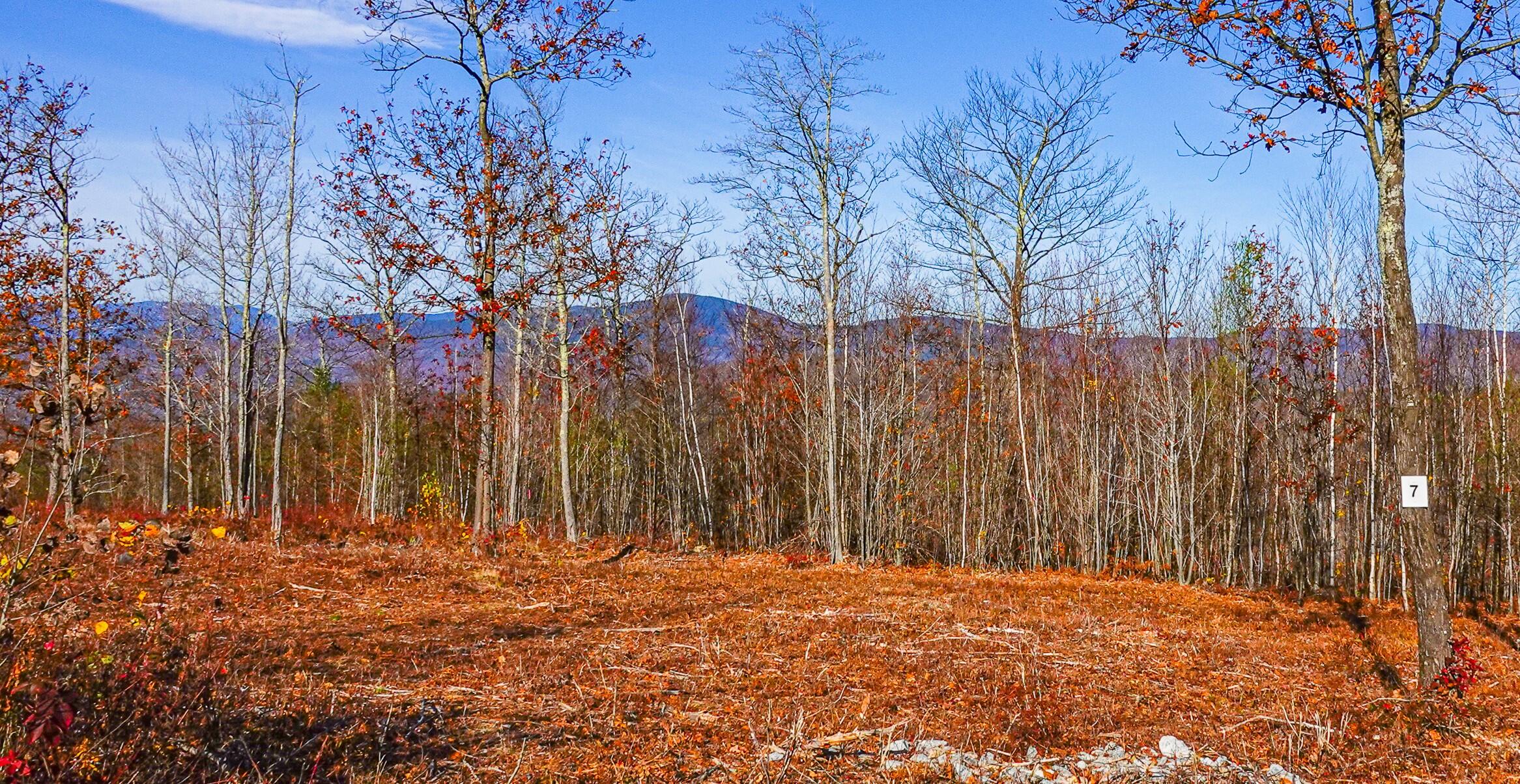 Lot 7 Mine Road Stoneham ME 04231