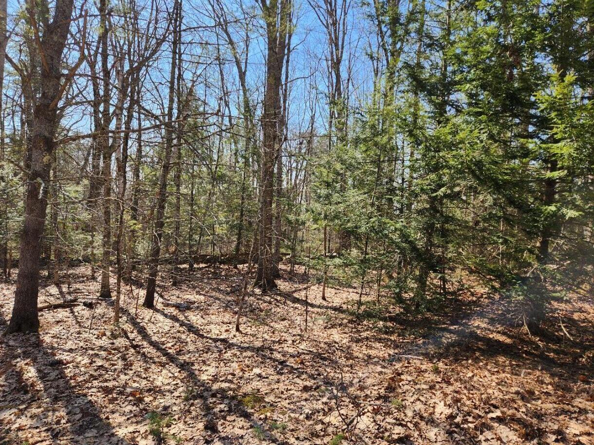 24 Palmer Hill Road Nobleboro ME 04555