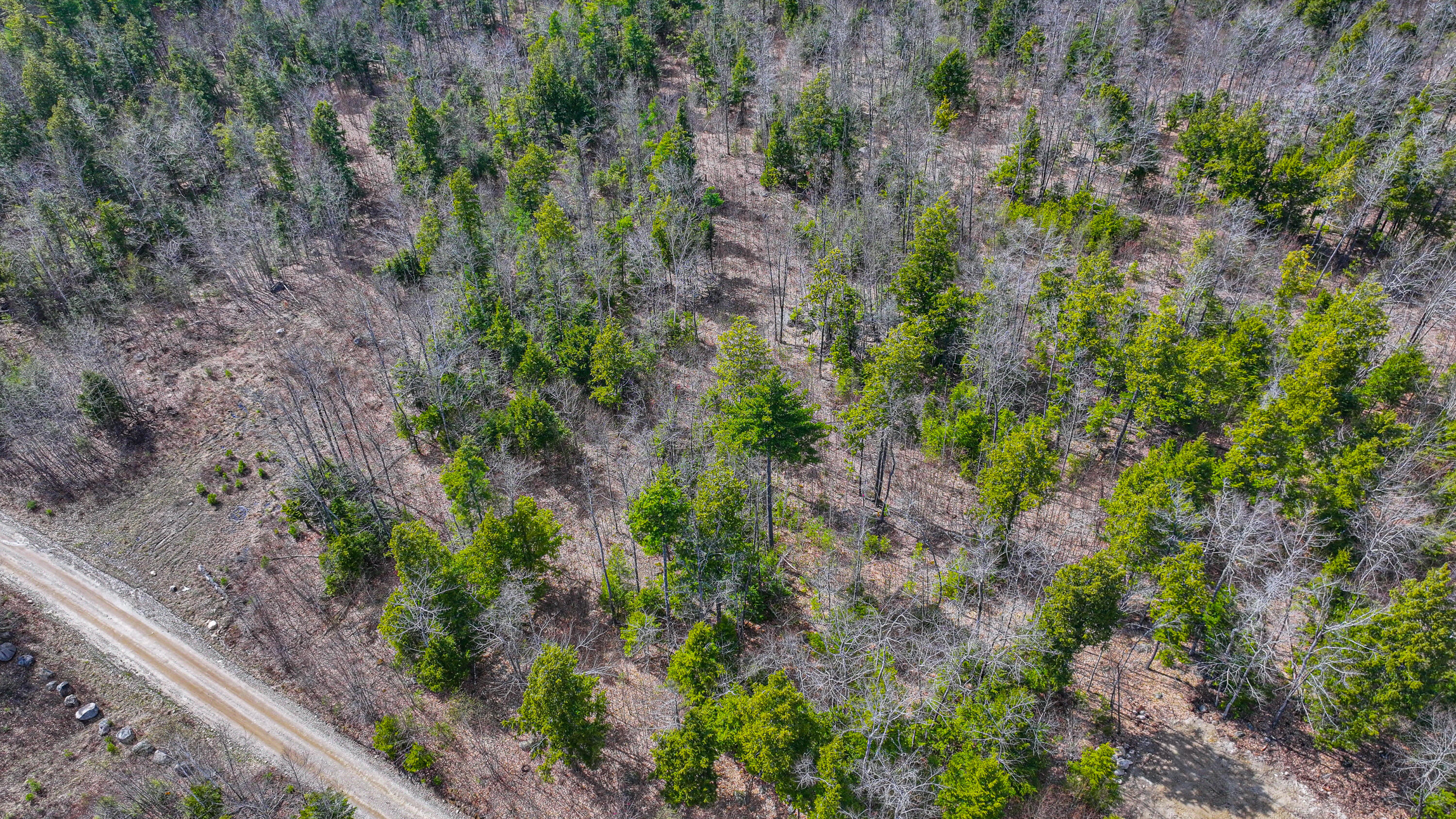 228 Murch Road Baldwin ME 04024