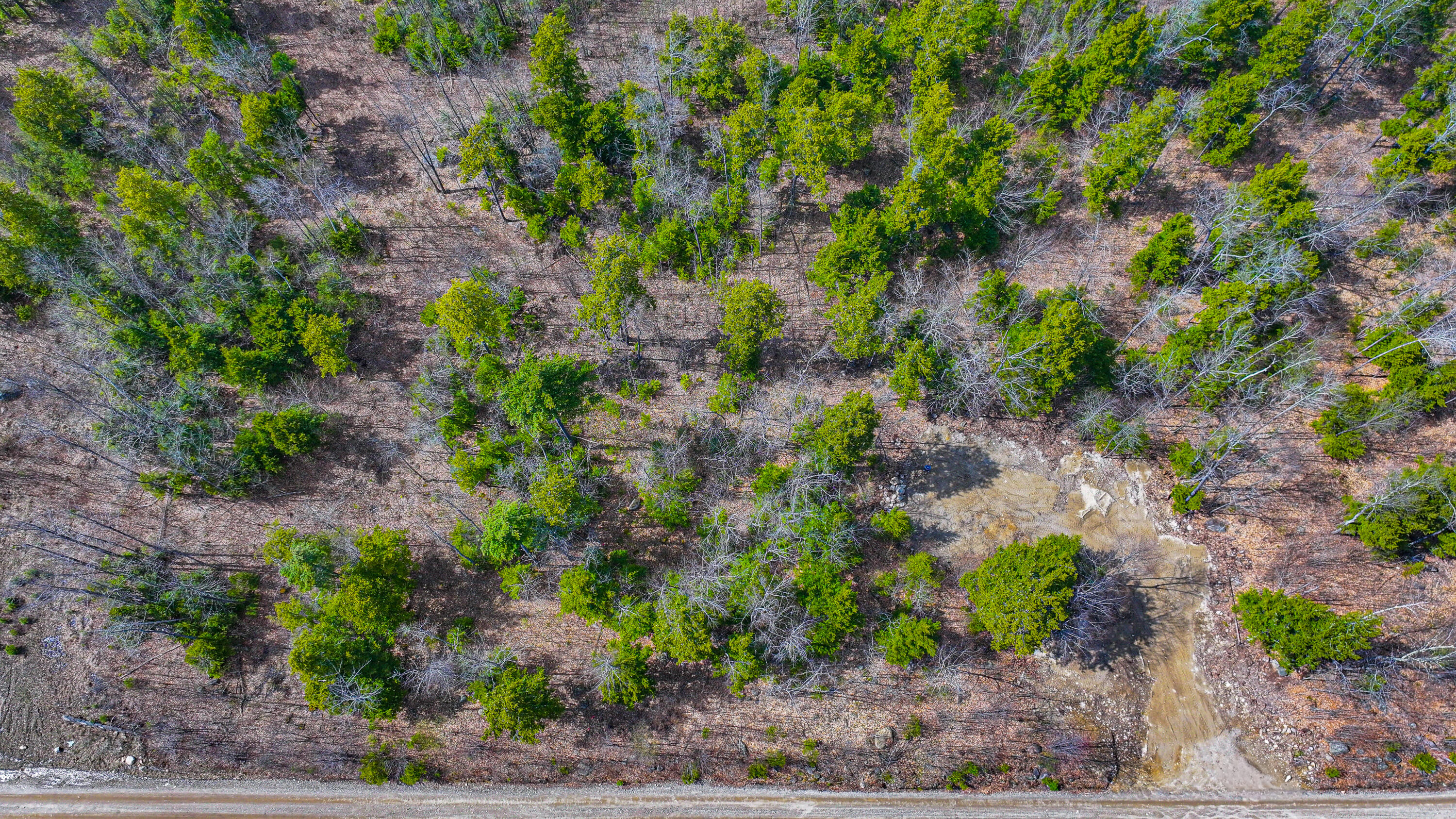 228 Murch Road Baldwin ME 04024