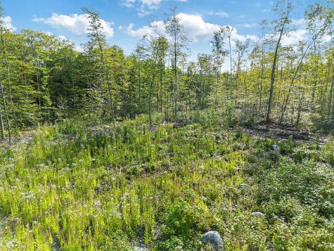 0 Poor Farm Road Starks ME 04911