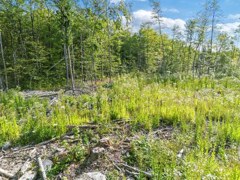 0 Poor Farm Road Starks ME 04911