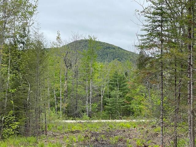 Lot 11-a Misty Lane Brownfield ME 04010