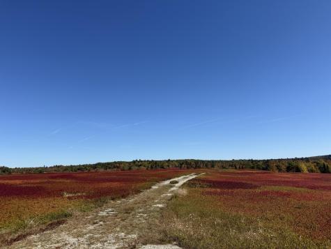 MAP31LOT29 Land-perkins Blue Hill ME 04614