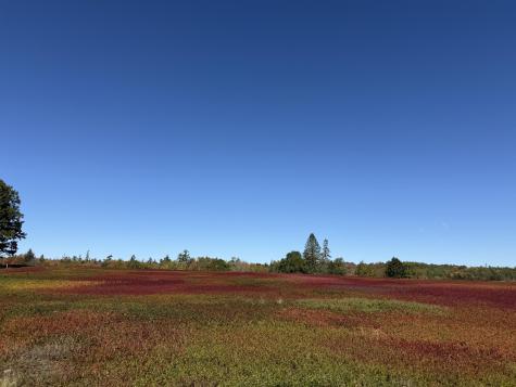 MAP31LOT29 Land-perkins Blue Hill ME 04614