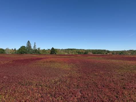 MAP31LOT29 Land-perkins Blue Hill ME 04614