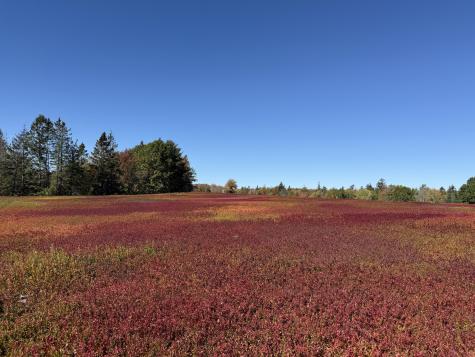 MAP31LOT29 Land-perkins Blue Hill ME 04614