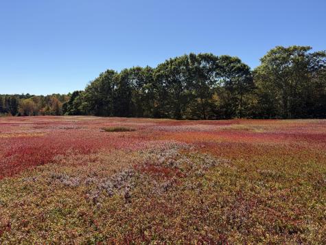 MAP31LOT29 Land-perkins Blue Hill ME 04614