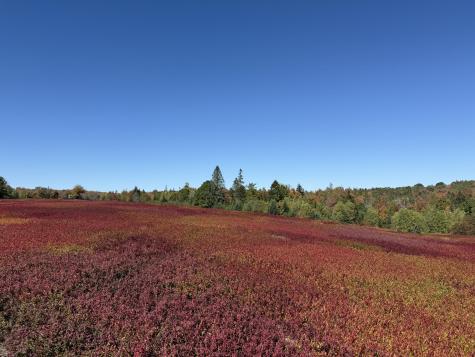 MAP31LOT29 Land-perkins Blue Hill ME 04614